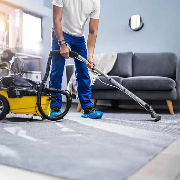 Why Choose Delightful Home Care Service for Carpet Care?