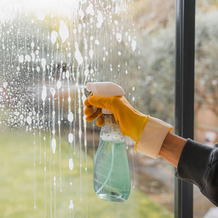 Why Choose Delightful Home Care Service for Window Cleaning?